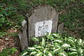 DSC04283 - Bernhard Saalfeld