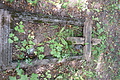 DSC04286 - Bernhard Saalfeld