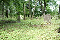 DSC04287 - Bernhard Saalfeld