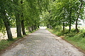 DSC04290 - Bernhard Saalfeld