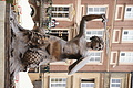 DSC04357 - Bernhard Saalfeld