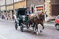 DSC04364 - Bernhard Saalfeld