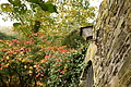 DSC07815 - Bernhard Saalfeld