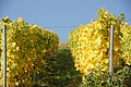 DSC07827 - Bernhard Saalfeld