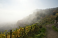 DSC07831 - Bernhard Saalfeld