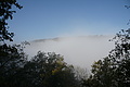 DSC07844 - Bernhard Saalfeld