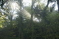 DSC07845 - Bernhard Saalfeld