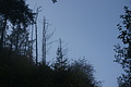 DSC07847 - Bernhard Saalfeld