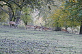 DSC07853 - Bernhard Saalfeld