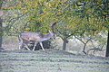 DSC07855 - Bernhard Saalfeld