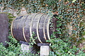 DSC07861 - Bernhard Saalfeld