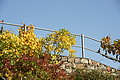 DSC07866 - Bernhard Saalfeld