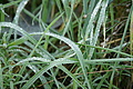 DSC07877 - Bernhard Saalfeld