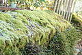 DSC07882 - Bernhard Saalfeld