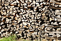 DSC07885 - Bernhard Saalfeld