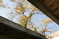 DSC07886 - Bernhard Saalfeld