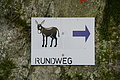 DSC07888 - Bernhard Saalfeld