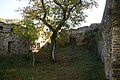 DSC07896 - Bernhard Saalfeld