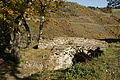 DSC07910 - Bernhard Saalfeld