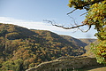 DSC07924 - Bernhard Saalfeld