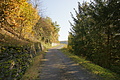 DSC07938 - Bernhard Saalfeld