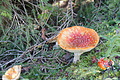 DSC07939 - Bernhard Saalfeld