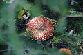 DSC07940 - Bernhard Saalfeld