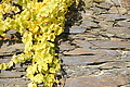 DSC07945 - Bernhard Saalfeld