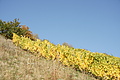 DSC07946 - Bernhard Saalfeld