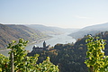 DSC07948 - Bernhard Saalfeld