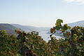 DSC07962 - Bernhard Saalfeld