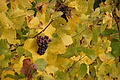 DSC07964 - Bernhard Saalfeld