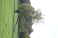 DSC07968 - Bernhard Saalfeld