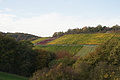 DSC07970 - Bernhard Saalfeld