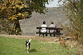 DSC07976 - Bernhard Saalfeld