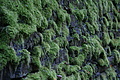 DSC07991 - Bernhard Saalfeld
