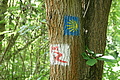 DSC00847 - Bernhard Saalfeld