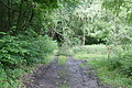 DSC00852 - Bernhard Saalfeld