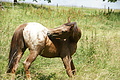 DSC00861 - Bernhard Saalfeld
