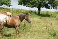 DSC00862 - Bernhard Saalfeld