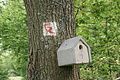 DSC00863 - Bernhard Saalfeld