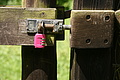 DSC00866 - Bernhard Saalfeld