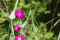 DSC00867 - Bernhard Saalfeld