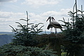 DSC00868 - Bernhard Saalfeld
