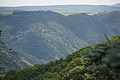DSC00869 - Bernhard Saalfeld