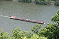 DSC00872 - Bernhard Saalfeld