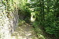 DSC00882 - Bernhard Saalfeld