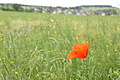 DSC00925 - Bernhard Saalfeld