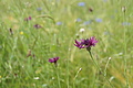 DSC00926 - Bernhard Saalfeld
