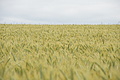 DSC00927 - Bernhard Saalfeld